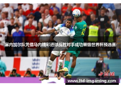 塞内加尔队凭借马内精彩进球战胜对手成功晋级世界杯预选赛