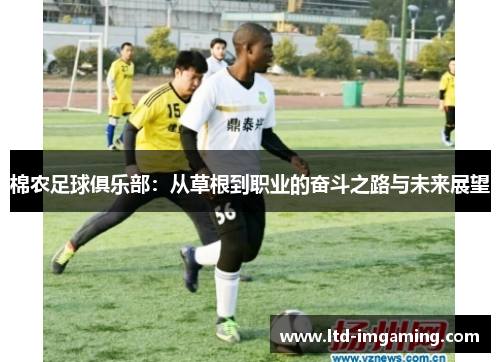 棉农足球俱乐部：从草根到职业的奋斗之路与未来展望