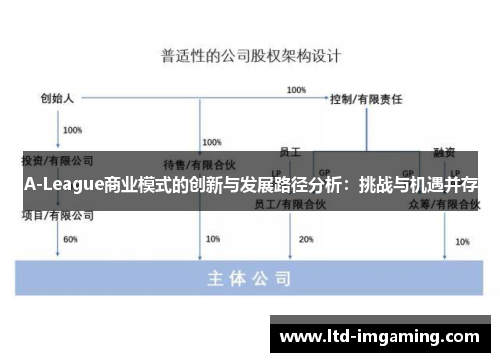 A-League商业模式的创新与发展路径分析：挑战与机遇并存