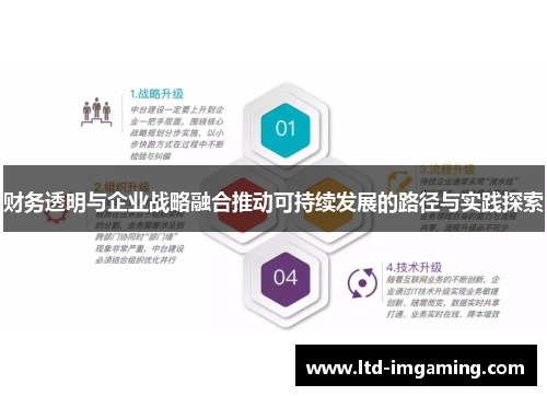 财务透明与企业战略融合推动可持续发展的路径与实践探索