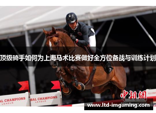 顶级骑手如何为上海马术比赛做好全方位备战与训练计划