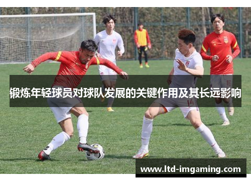 锻炼年轻球员对球队发展的关键作用及其长远影响