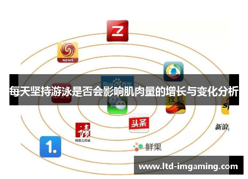 每天坚持游泳是否会影响肌肉量的增长与变化分析