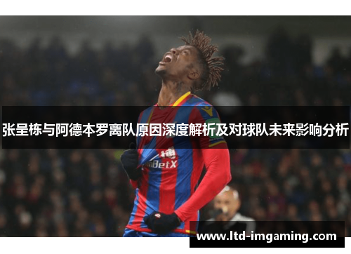 张呈栋与阿德本罗离队原因深度解析及对球队未来影响分析