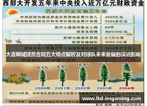 大连鲲城球员合同五大特点解析及对球队未来发展的深远影响